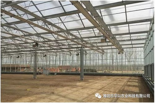 文洛型玻璃温室地基施工核心要点与注意事项